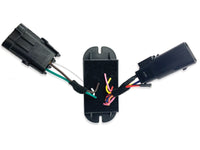 SoundOff Mating Loop Plug