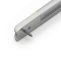 Light fixture with a screw